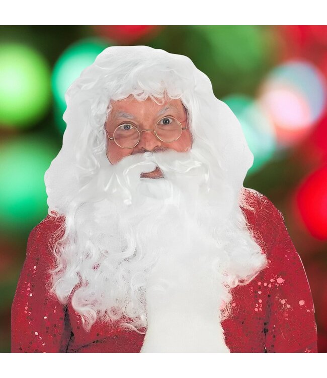 Forum Novelties PROF SANTA WIG&BEARD
