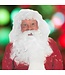 Forum Novelties PROF SANTA WIG&BEARD