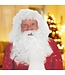 Forum Novelties PROF SANTA WIG&BEARD