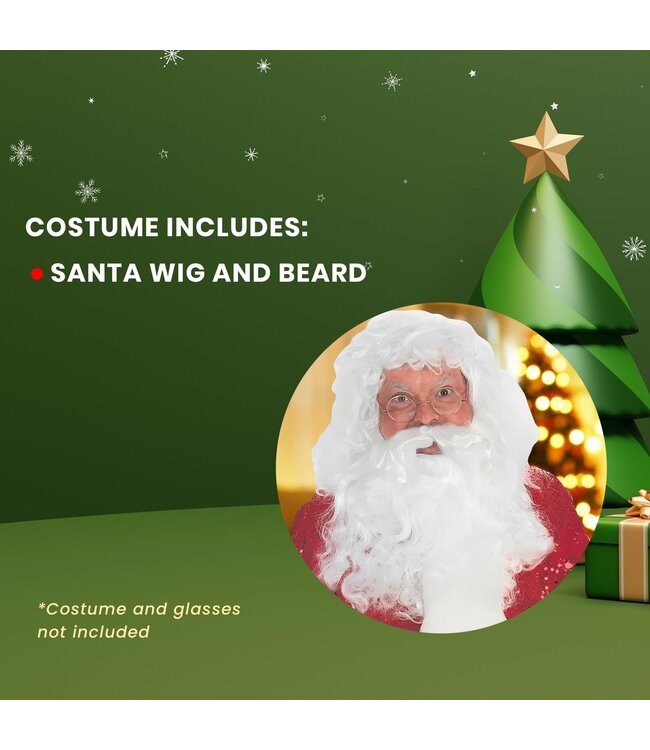 Forum Novelties PROF SANTA WIG&BEARD