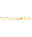 BEISTLE Foil We Will Miss You Streamer - 6.5 Foot