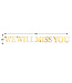 BEISTLE Foil We Will Miss You Streamer - 6.5 Foot