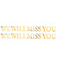BEISTLE Foil We Will Miss You Streamer - 6.5 Foot