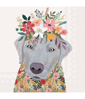 BOSTON INTERNATIONAL 20CT BEV FLORAL DOG