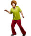 RUBIES Shaggy Rogers Costume - Men's