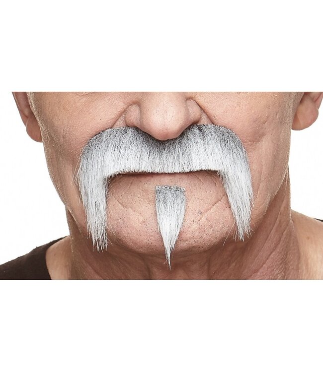 MUSTACHES MUSTACHE GOATEE GRAY