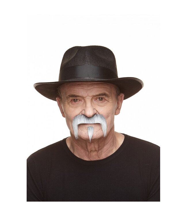 MUSTACHES MUSTACHE GOATEE GRAY