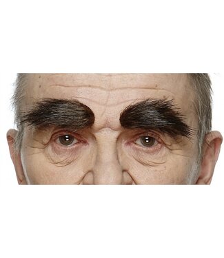 MUSTACHES EYEBROWS BROWN