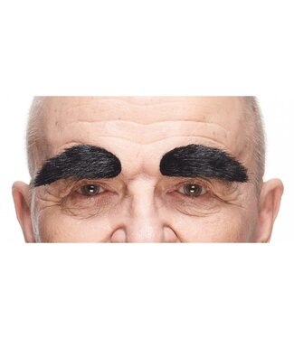 MUSTACHES EYEBROWS BLACK
