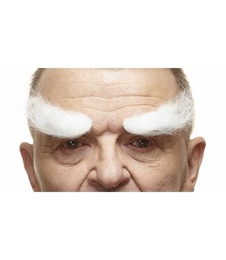MUSTACHES EYEBROWS WHITE