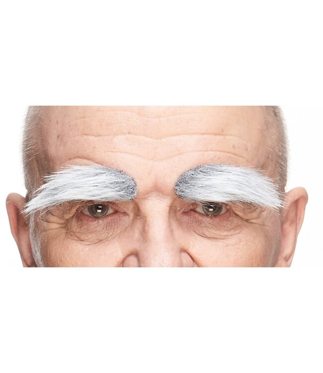 MUSTACHES EYEBROWS GRAY
