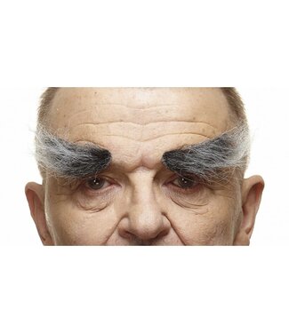 MUSTACHES EYEBROWS BLACK/GRAY
