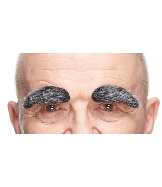 MUSTACHES EYEBROWS BLACK/GRAY