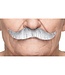 MUSTACHES MUSTACHE GRAY
