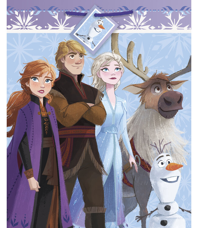 UNIQUE INDUSTRIES INC Frozen II Large Gift Bag