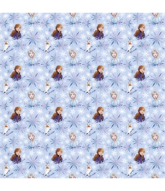 UNIQUE INDUSTRIES INC 30inx 5ft Frozen II Giftwrap
