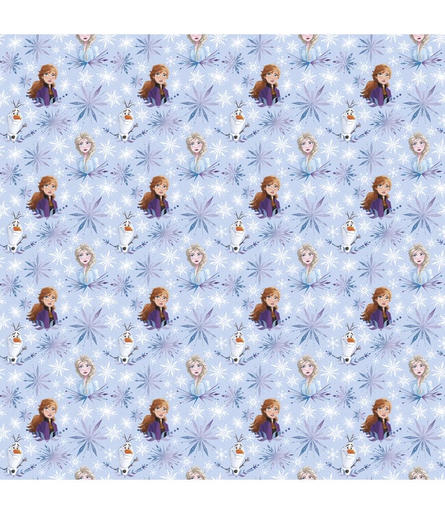 UNIQUE INDUSTRIES INC 30inx 5ft Frozen II Giftwrap