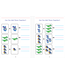 PETER PAUPER PRESS Trace and Learn Numbers Workbook