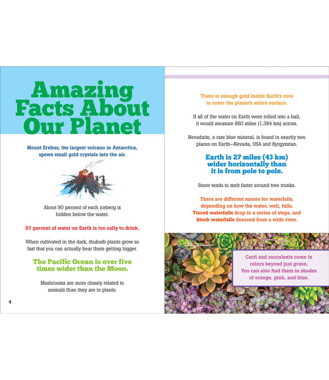 PETER PAUPER PRESS The Big Book of Useless Facts