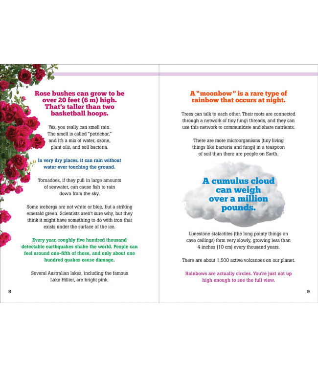 PETER PAUPER PRESS The Big Book of Useless Facts