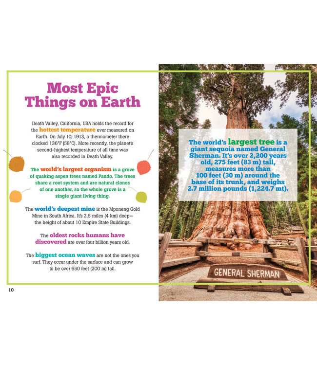 PETER PAUPER PRESS The Big Book of Useless Facts