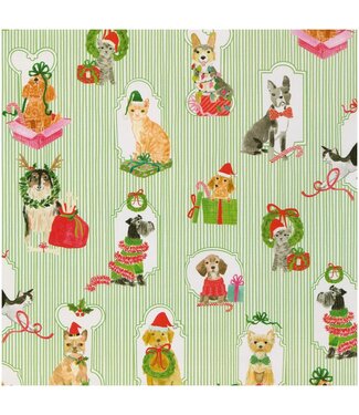 CASPARI PRESENTING PETS - ROLL WRAP 30 INCH X 8FT-2 INCH CORE