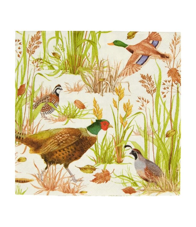 CASPARI BIRDS OF A FEATHER - NAPKIN LUNCHEON