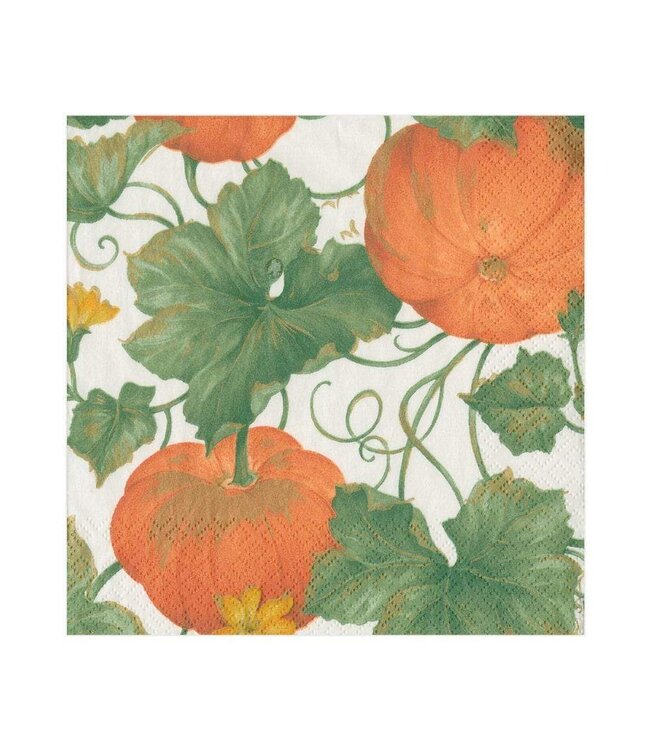 CASPARI HEIRLOOM PUMPKINS IVORY/ORANGE - NAPKIN LUNCHEON