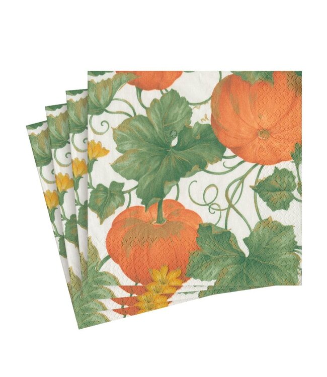 CASPARI HEIRLOOM PUMPKINS IVORY/ORANGE - NAPKIN LUNCHEON