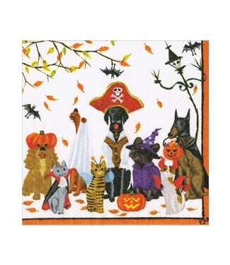 CASPARI HALLOWEEN PETS - RECYCLED NAPKIN LUNCHEON