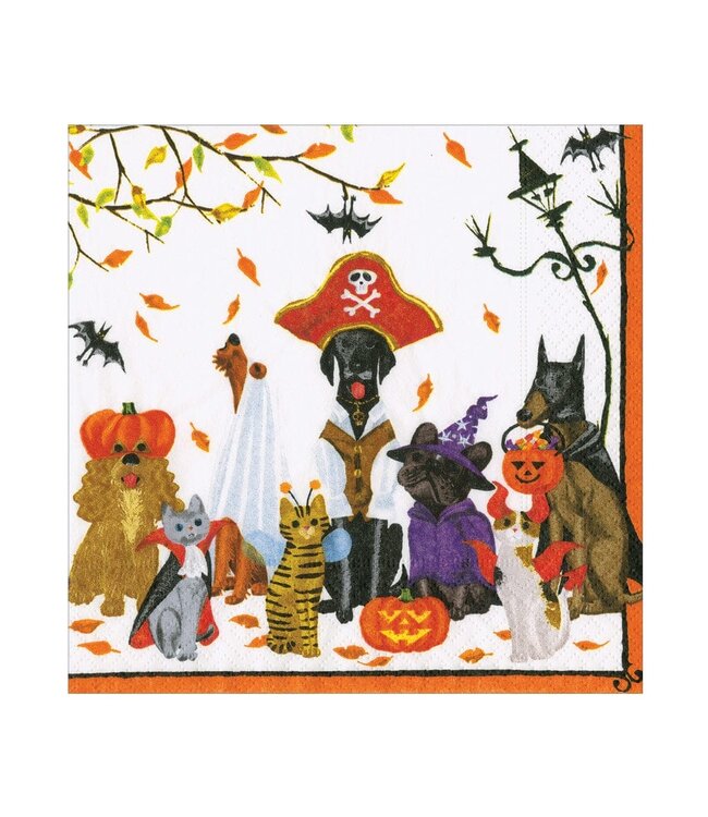 CASPARI HALLOWEEN PETS - RECYCLED NAPKIN LUNCHEON