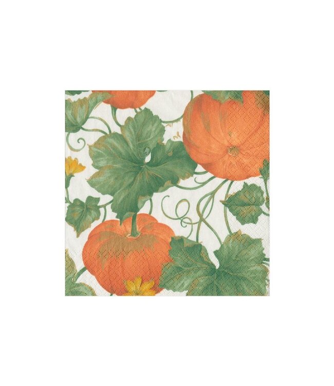 CASPARI HEIRLOOM PUMPKINS IVORY/ORANGE - NAPKIN COCKTAIL