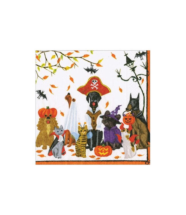 CASPARI HALLOWEEN PETS - RECYCLED NAPKIN COCKTAIL
