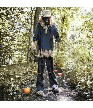 Morris 7.5 ft Light-Up Lifting Skeleton Scarecrow
