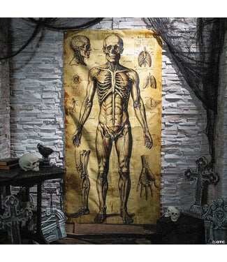 Morris 6.5 ft Human Anatomy Drawings Door Curtain