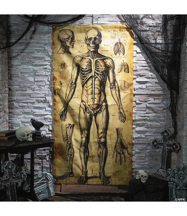 Morris 6.5 ft Human Anatomy Drawings Door Curtain