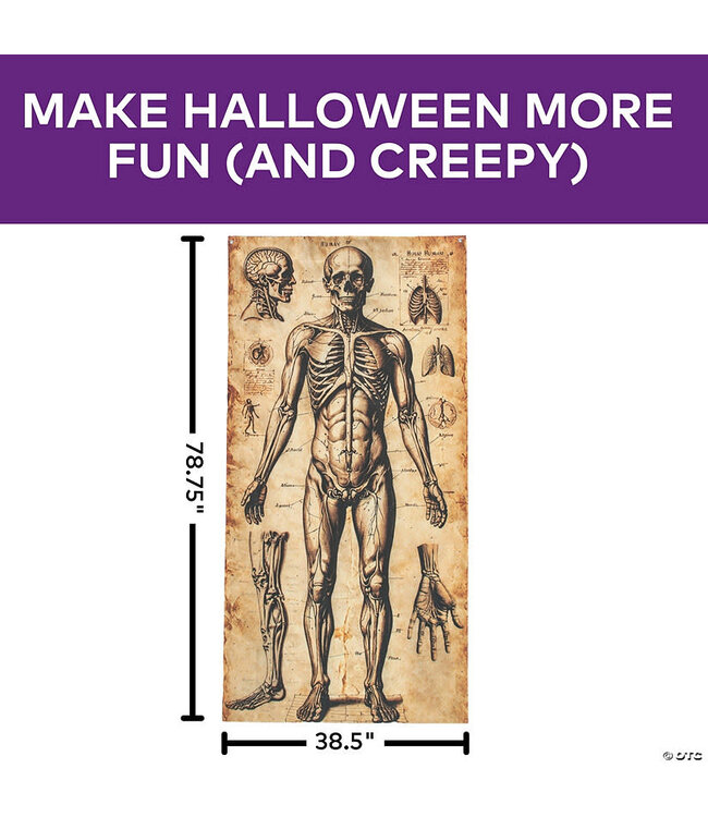 Morris 6.5 ft Human Anatomy Drawings Door Curtain