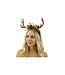 KBW GLOBAL CORP. ANTLERS BROWN