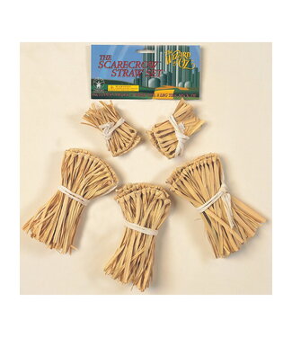 RUBIES THE SCARECROW STRAW KIT