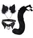 KBW GLOBAL CORP. BLACK CAT ACCESSORY KIT