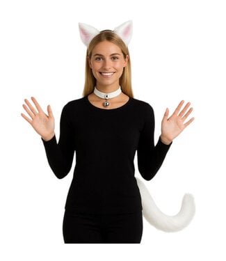 KBW GLOBAL CORP. WHITE CAT ACCESSORY KIT