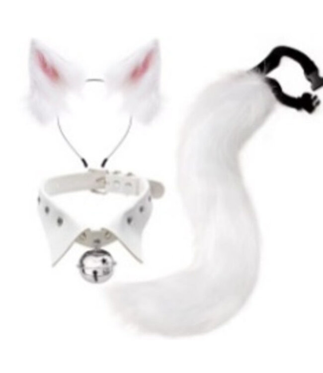 KBW GLOBAL CORP. WHITE CAT ACCESSORY KIT