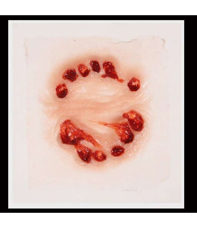 Tinsley FX TRANSFERS BIG BITE