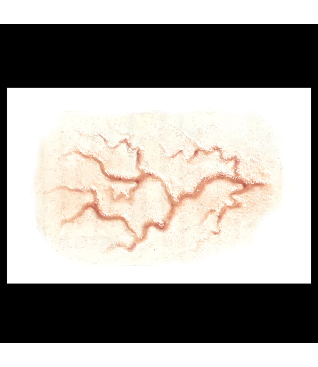 TINSLEY TRANSFERS FX TRANSFERS VEINS