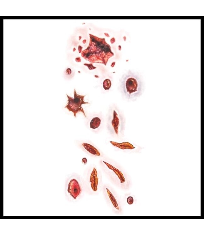 TINSLEY TRANSFERS TRAUMA TAT SHOT & STABBED