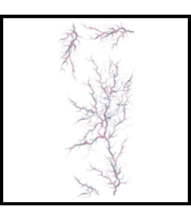 Tinsley TRAUMA TAT POSSESSED