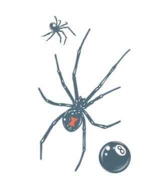 TINSLEY TRANSFERS PRISON TATTOO BLACK WIDOW