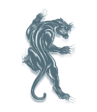 Tinsley Prison Tattoo - Panther