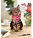 Fresh Cut Paper Brown Tabby Cat Pop-Up Card