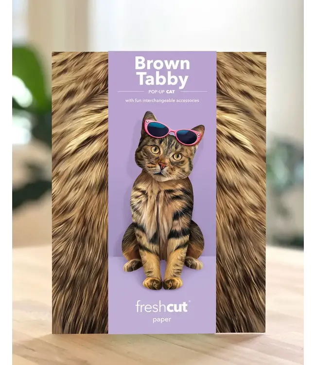 Fresh Cut Paper Brown Tabby Cat Pop-Up Card